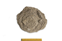 F 00061
<br/>
<br/>
<em></em>